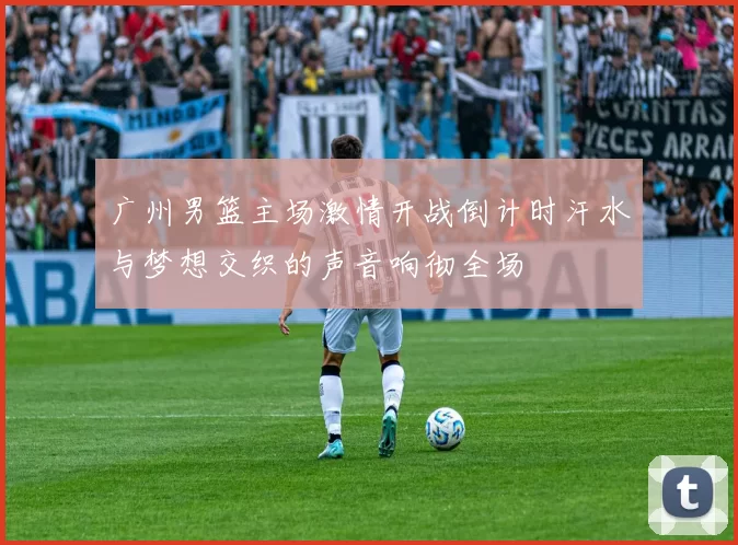 广州男篮主场激情开战倒计时汗水与梦想交织的声音响彻全场